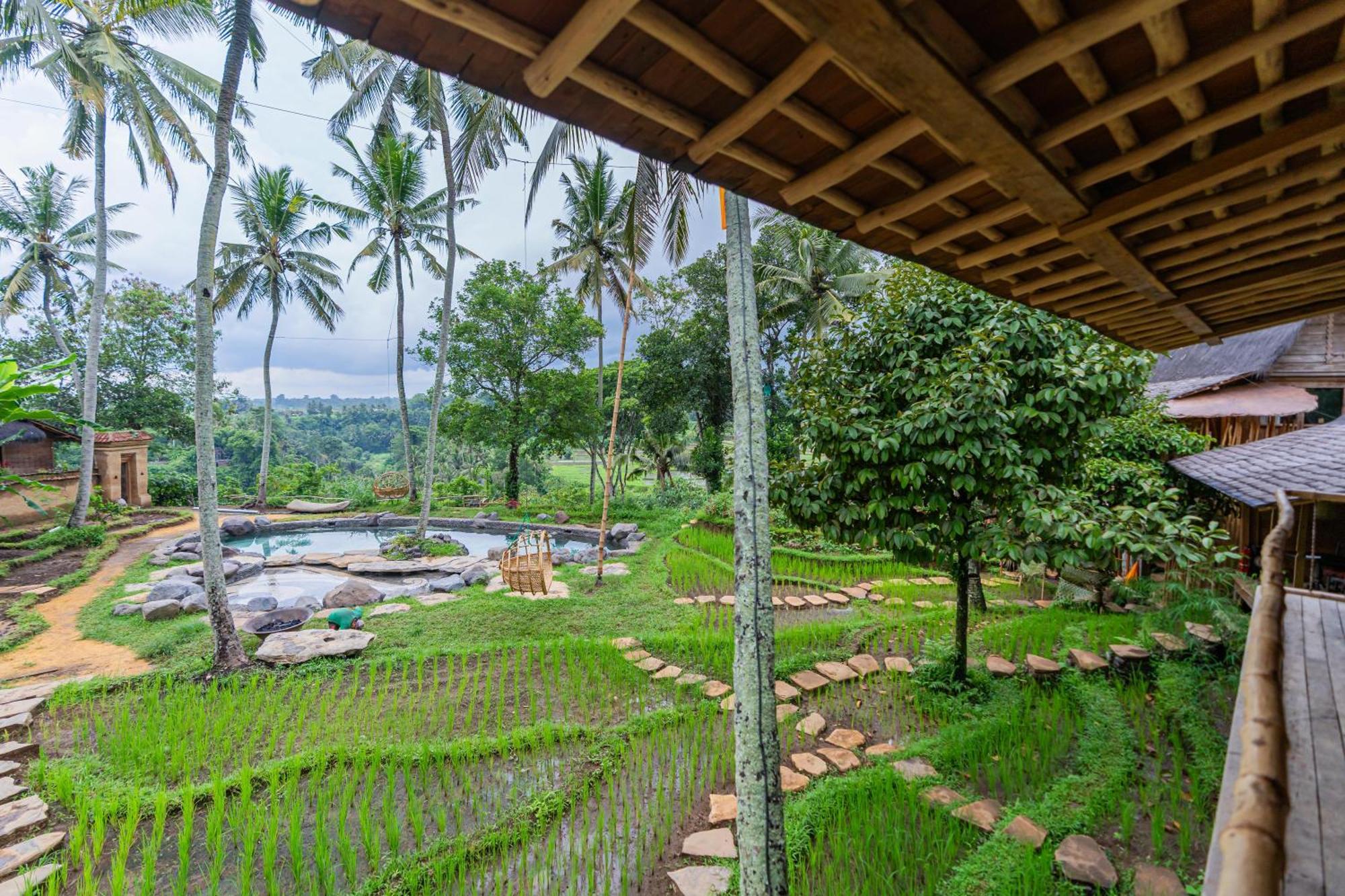 Bambu Indah Resort Ubud  Exterior photo