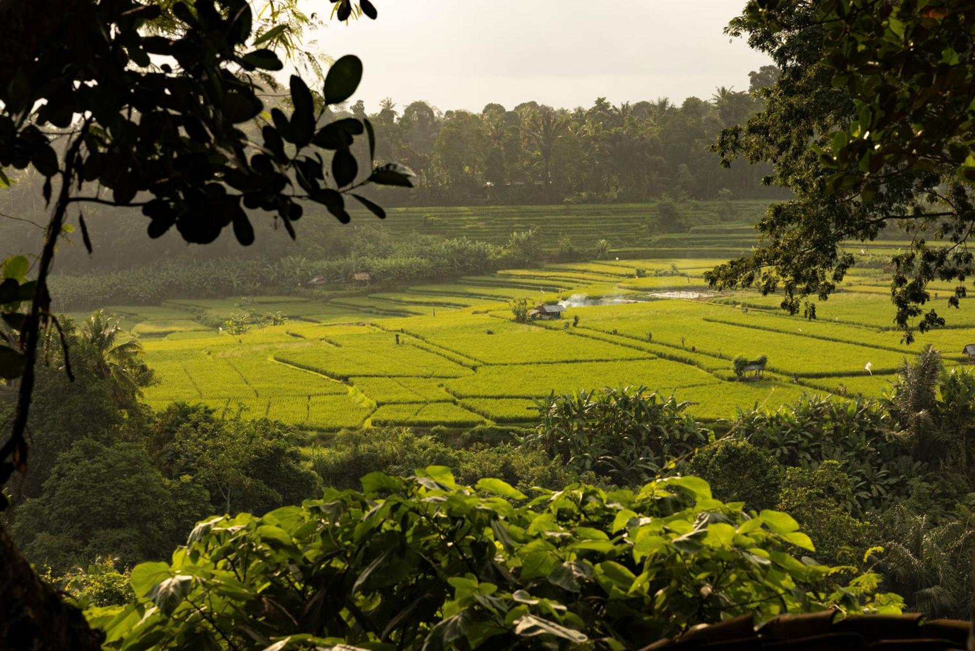 Bambu Indah Resort Ubud  Exterior photo